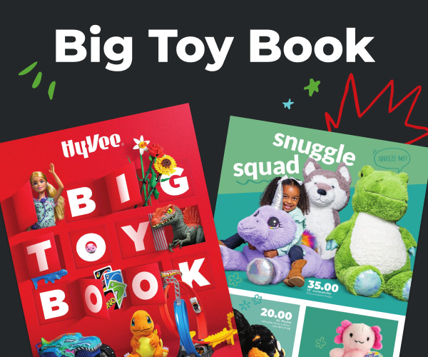 Big Toy Book